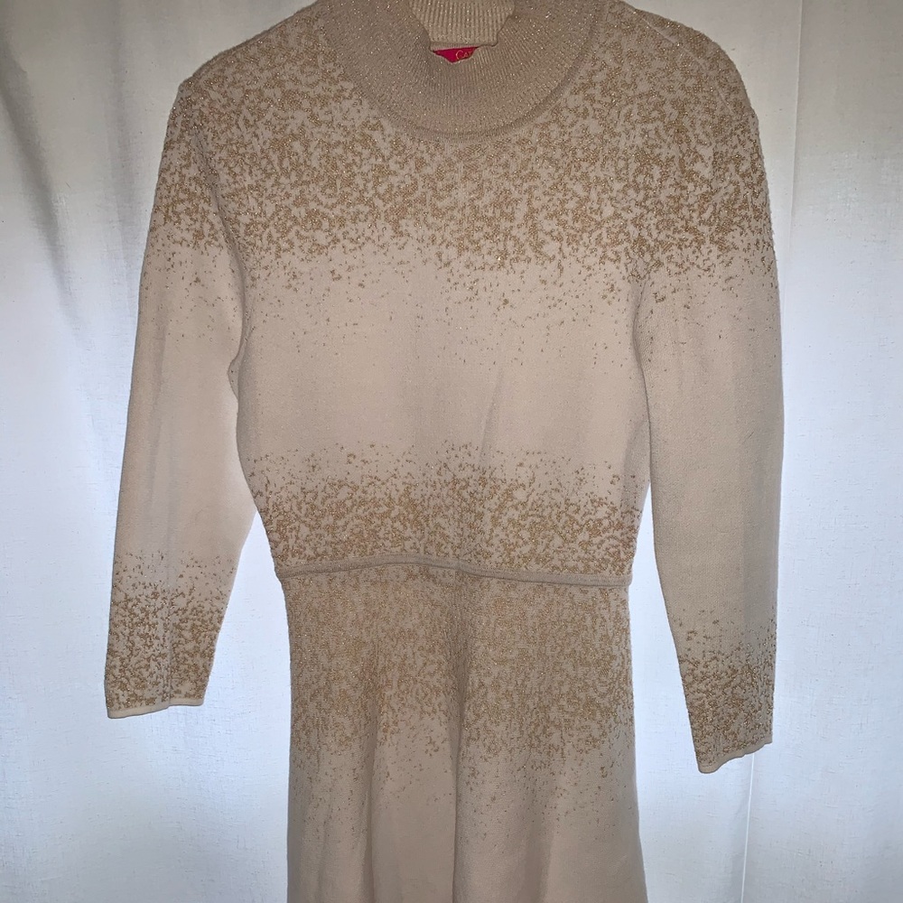 Catherine Malendrino sweater skater dress